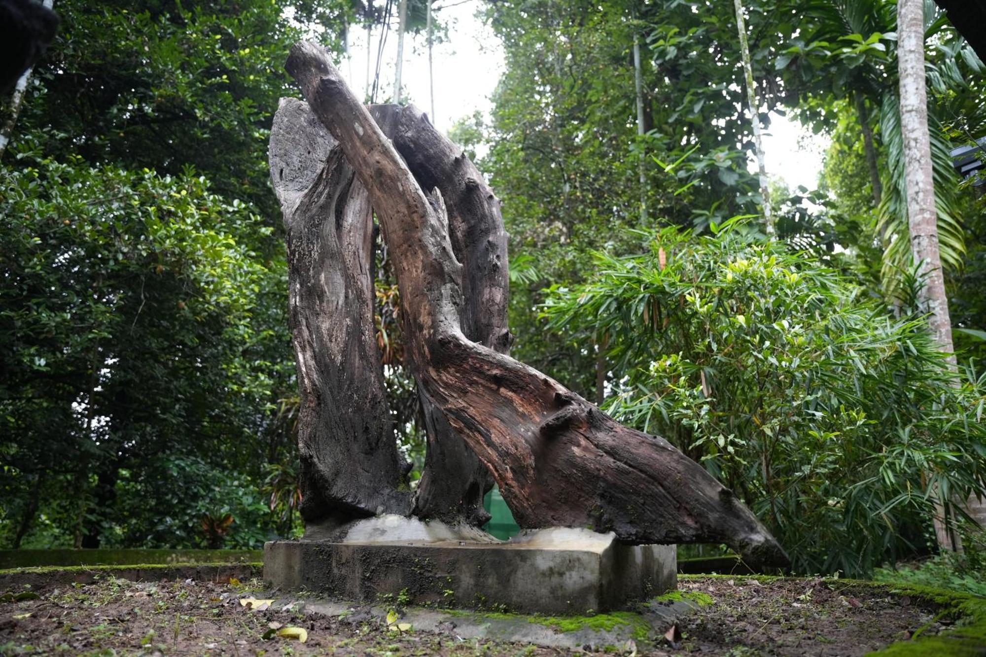 The Mana-Heritage Stay - Chengazhimattam Mana Kottayam Exteriör bild