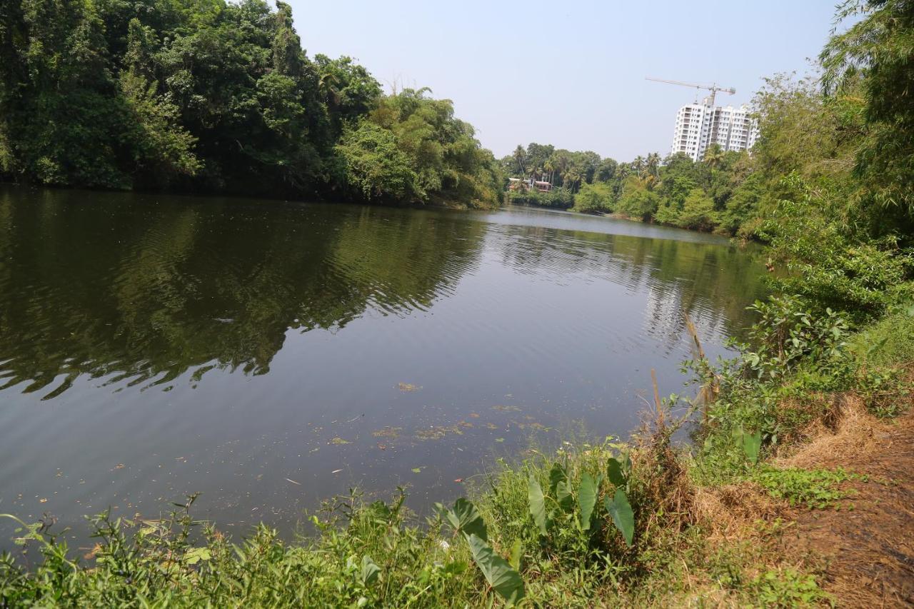 The Mana-Heritage Stay - Chengazhimattam Mana Kottayam Exteriör bild