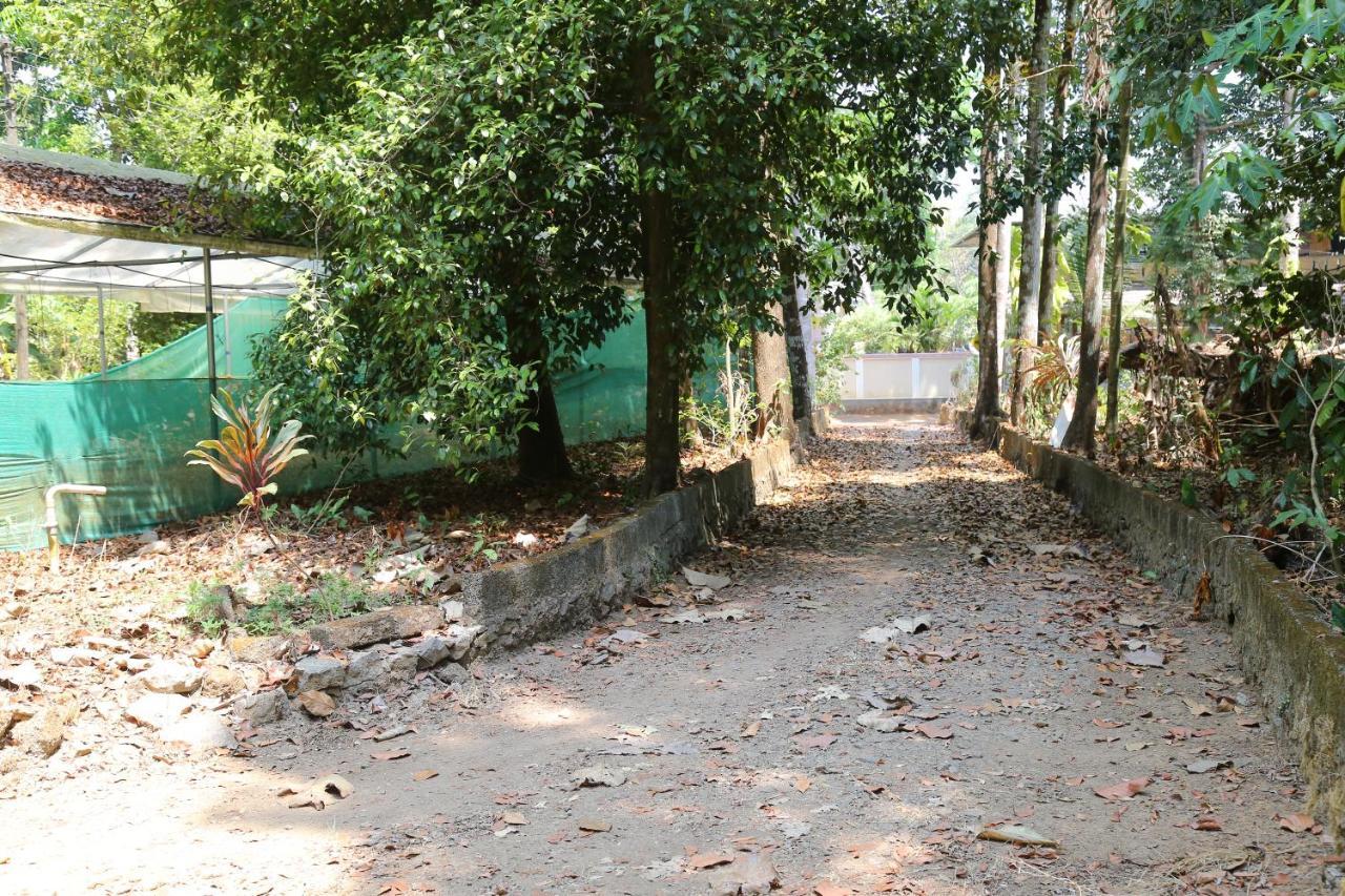The Mana-Heritage Stay - Chengazhimattam Mana Kottayam Exteriör bild