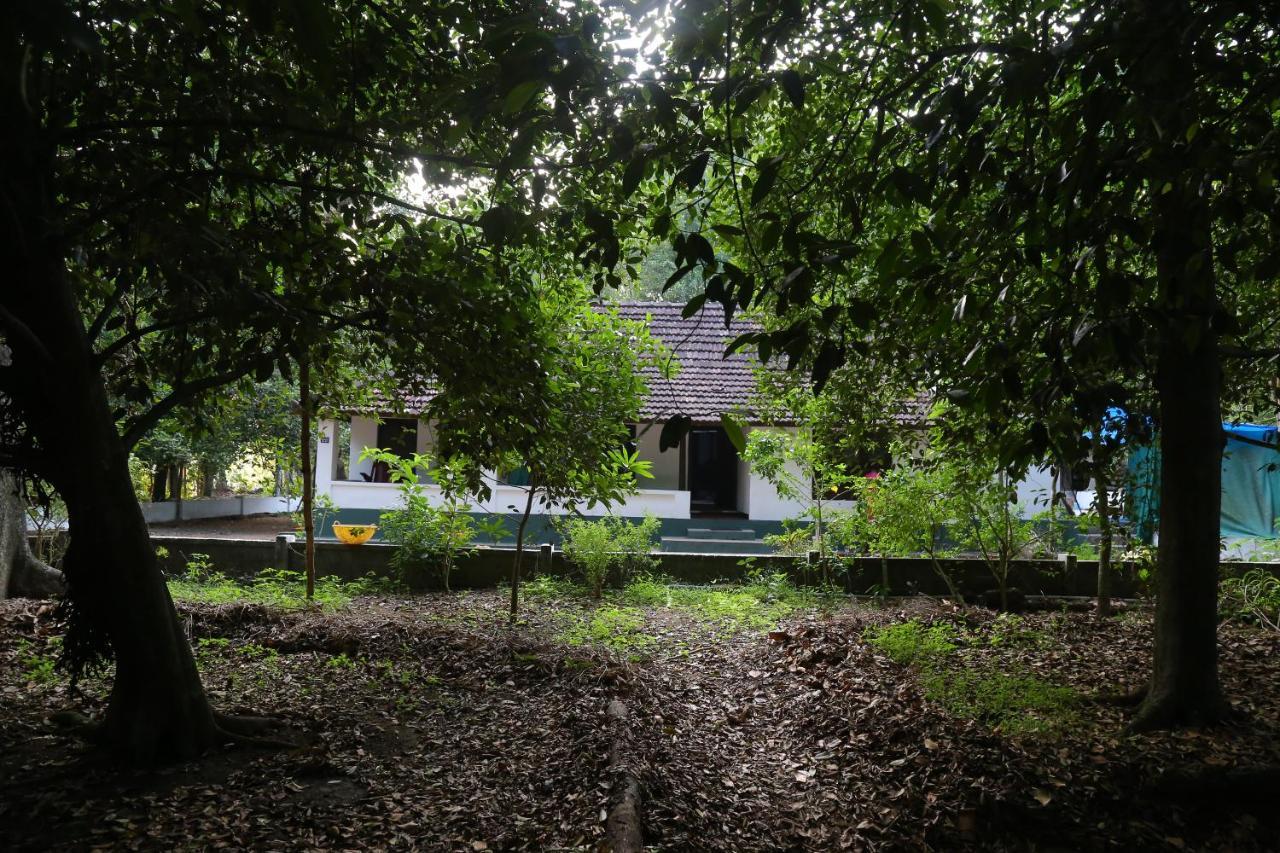 The Mana-Heritage Stay - Chengazhimattam Mana Kottayam Exteriör bild