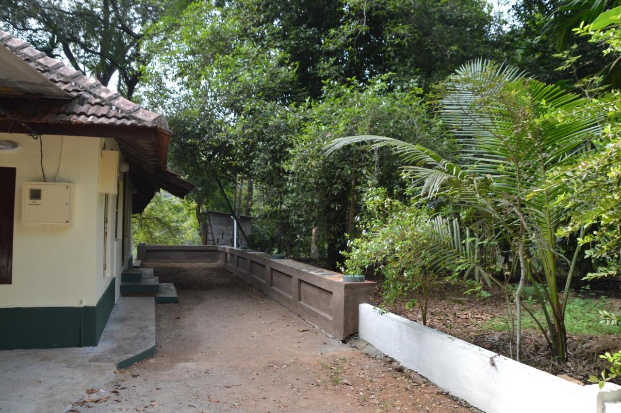 The Mana-Heritage Stay - Chengazhimattam Mana Kottayam Exteriör bild